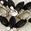 Teardrop Pendant Oval Stone Necklace, Black