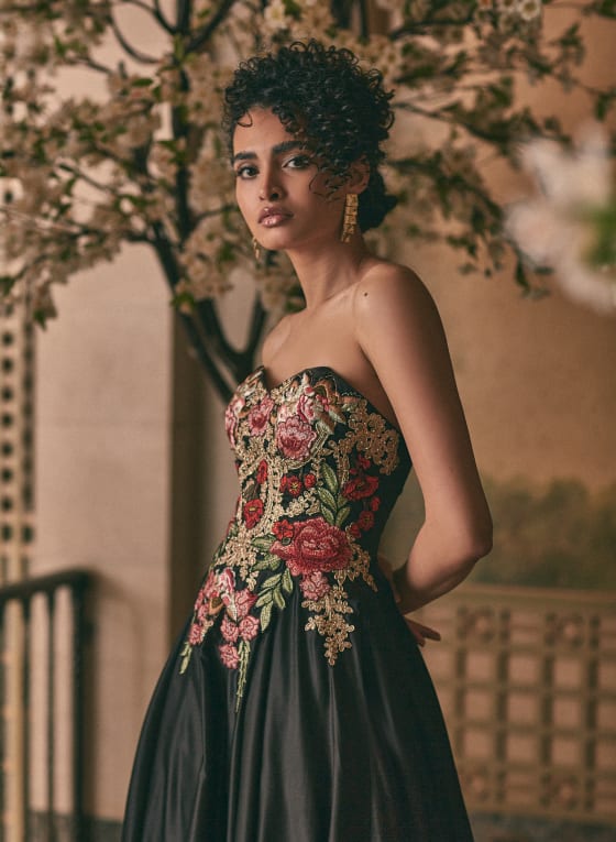 Embroidered Bustier Ball Gown | Melanie Lyne